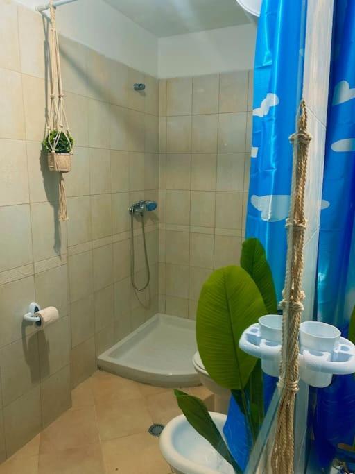 City Central Amazona Appartment Тирана Екстер'єр фото